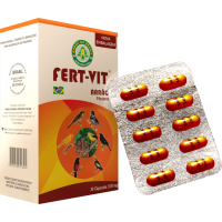 Fert-Vit 30 Cápsulas - Premix Mineral, Vitamínico e Aminoácido