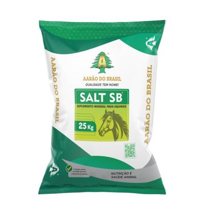SALT SB - 25kg 